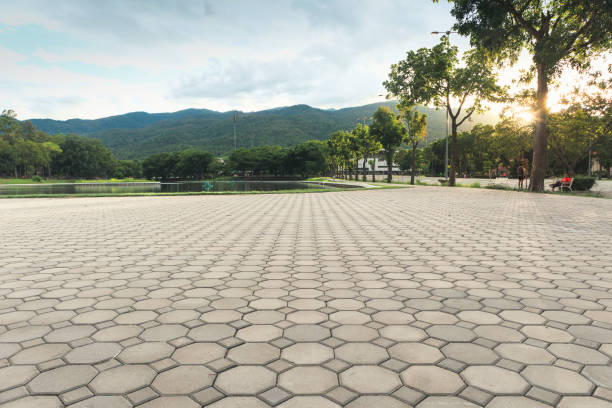 Best Best Driveway Pavers  in Cave Springs, AR