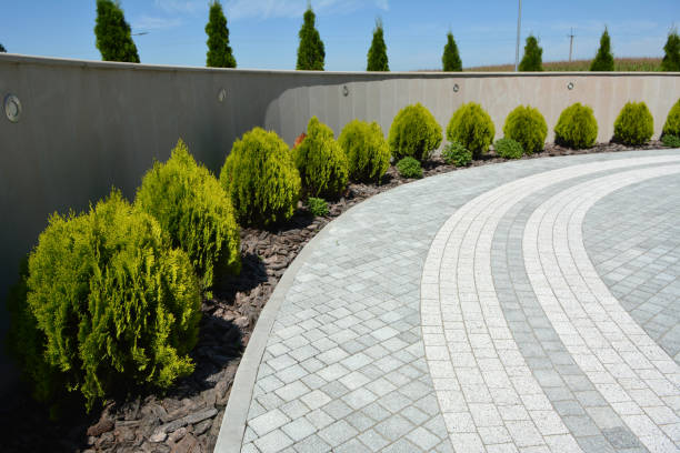 Best Permeable Paver Driveway  in Cave Springs, AR